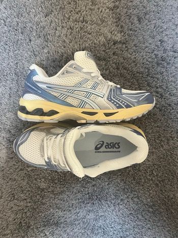 Asics kayano 14