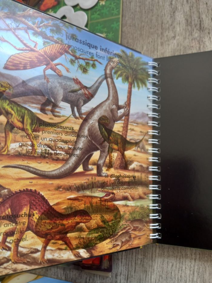 Lot dinosaures jeu de société SOS dino et livres dinosaures et stickers dinosaures - photo numéro 9