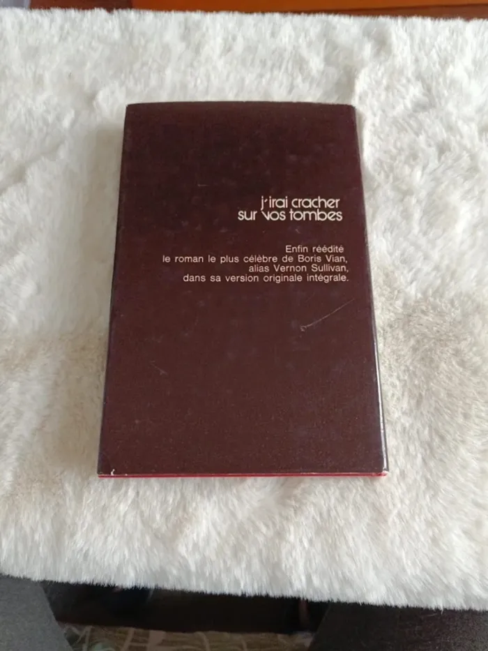 Livre : j'irai cracher sur vos tombes - photo numéro 2