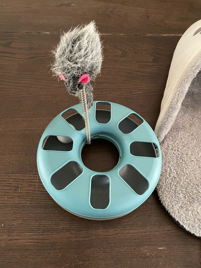 Accessoire pour chat - photo numéro 3