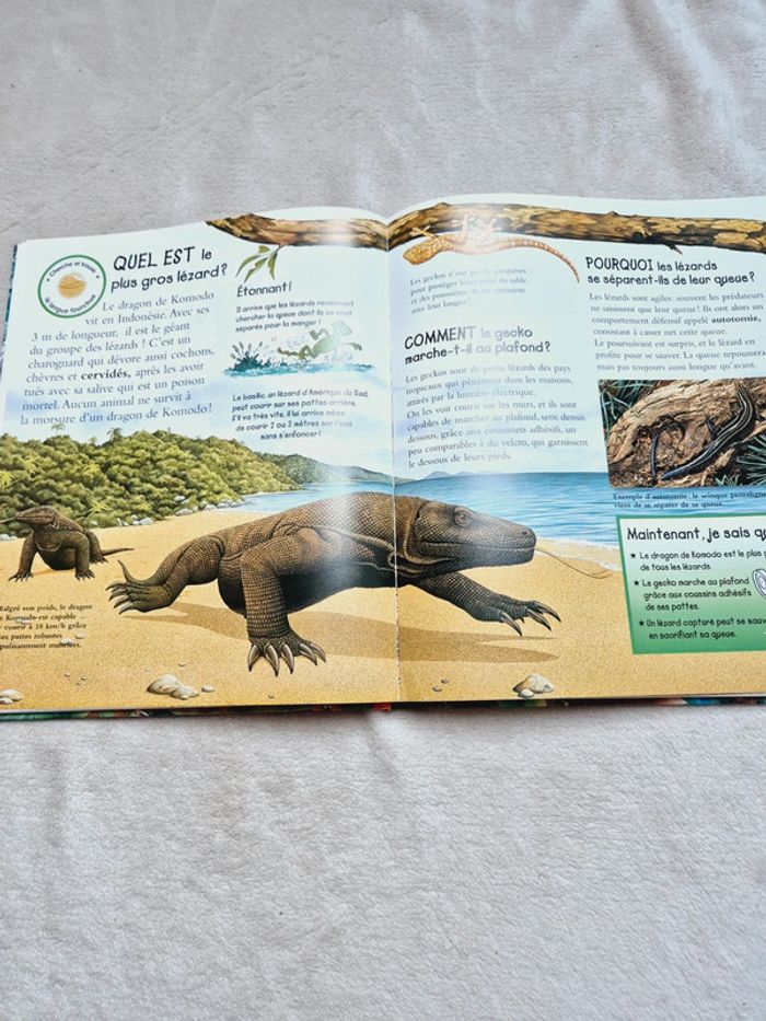 Livre les animaux en 250 questions réponses - photo numéro 4