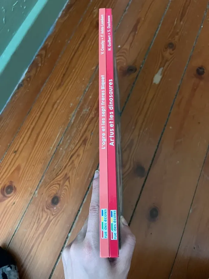 Livre Rue des écoles - photo numéro 3
