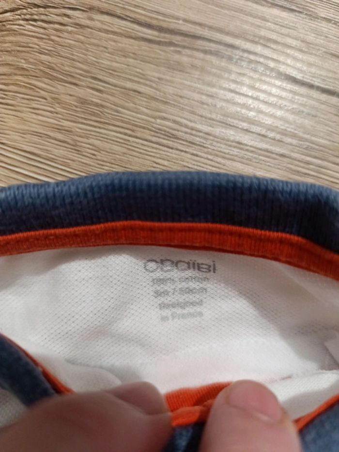 Polo 3 mois obaïbi - photo numéro 3