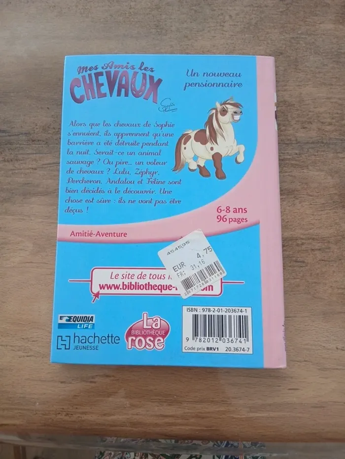 Mes amis les chevaux un nouveau pensionnaire - photo numéro 2