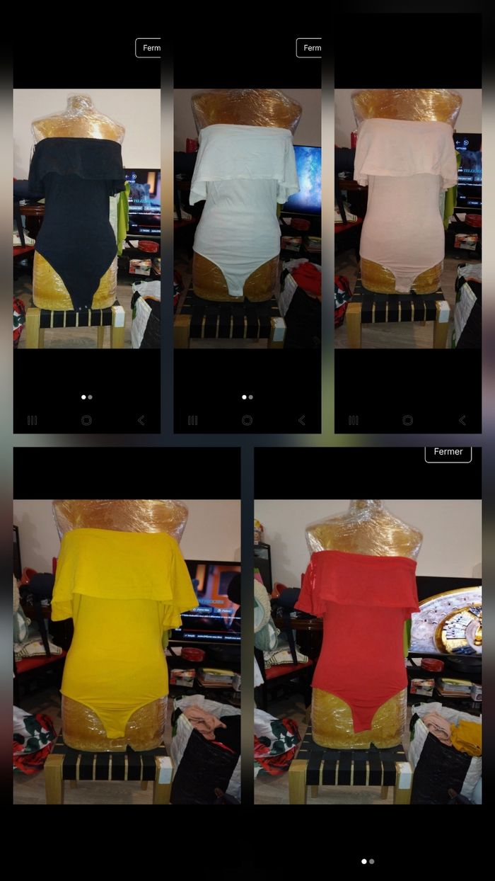Bodies