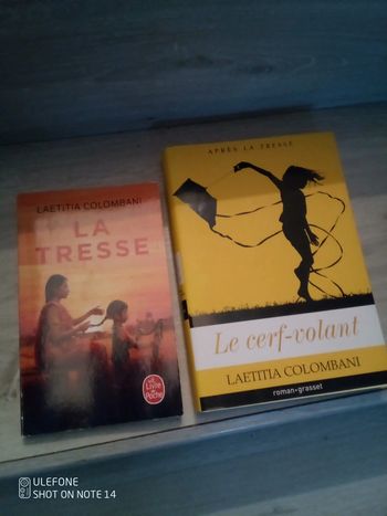 Lot de 2 romans la tresse + le cerf volant