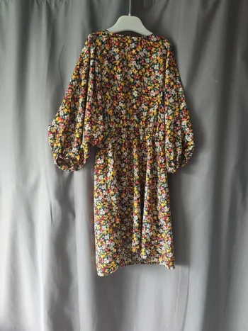Robe à manches