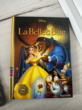 Livre la Belle et la bête