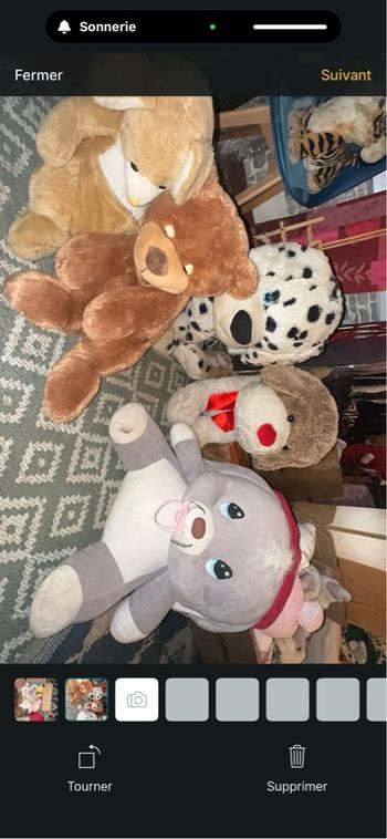 Grosses peluche 