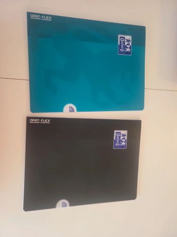 2 cahiers oxford open flex 24x32