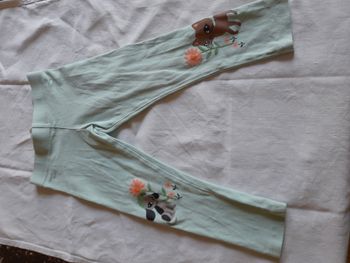 Jegging vert d'eau