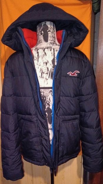 Blouson Hollister