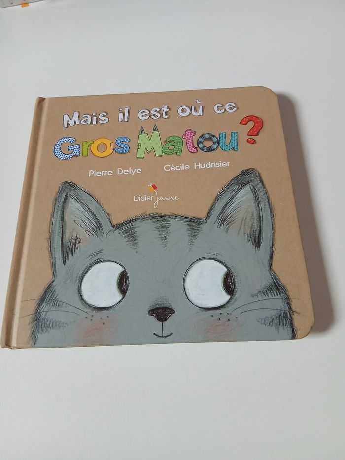 Mais il est où ce gros matou ?