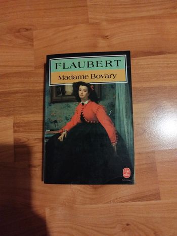 Livre " madame Bovary" de Flaubert
