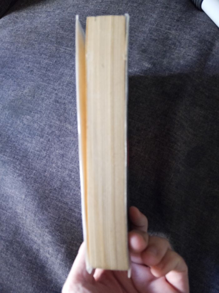 Livre (98) 📚 L'invisible - photo numéro 4