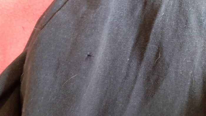 1 lot 7 vêtements fille 10 ans - photo numéro 5