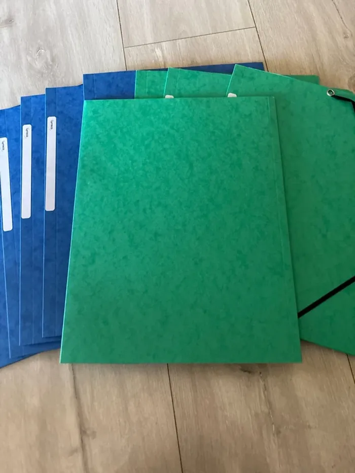 Lot de 9 chemises Lyreco - photo numéro 5