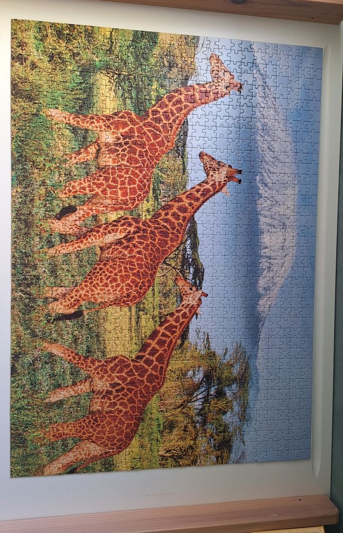 Puzzle girafes 1000 pièces - photo numéro 2