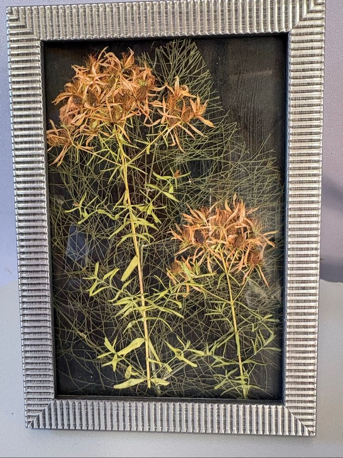 Cadre fleurs séchées - photo numéro 2
