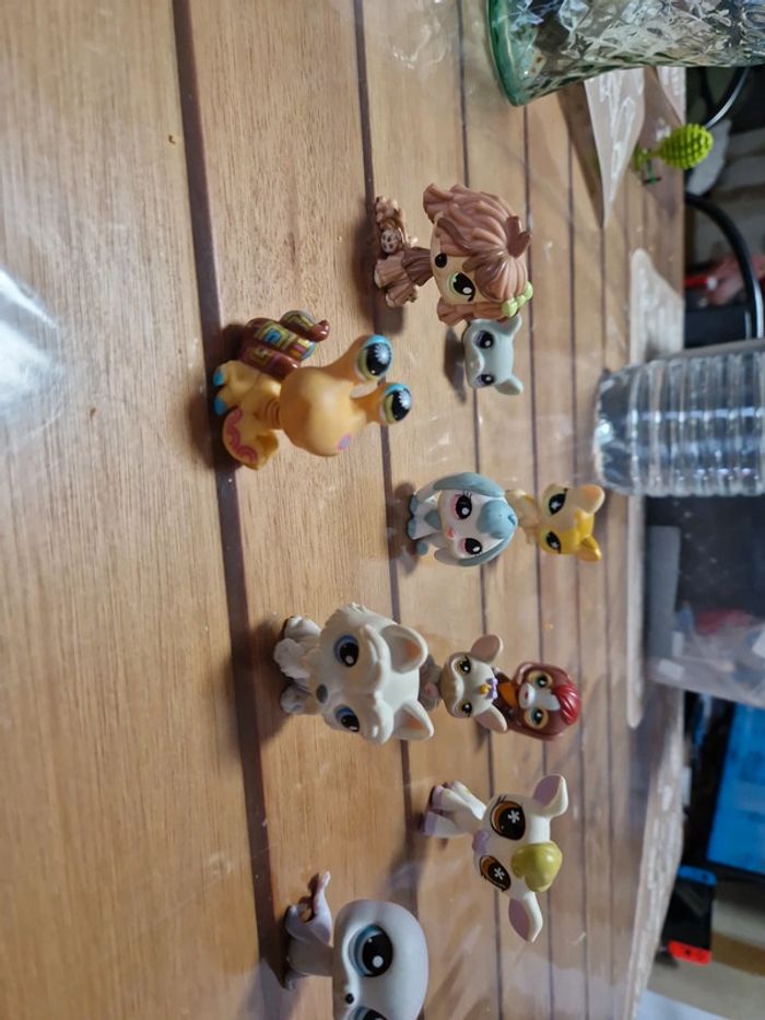 Lot petshop (8) - photo numéro 3