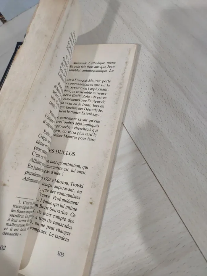 Livre grand format les meurtres de l'occulte Parent Façon témoignage sociétés secrètes - photo numéro 10