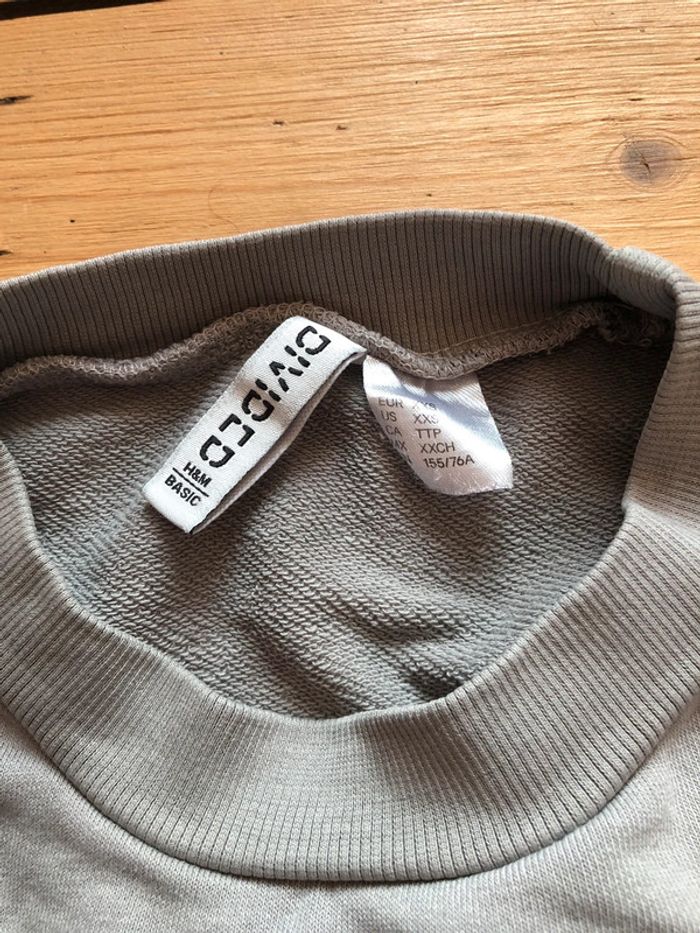 Pull court - photo numéro 3