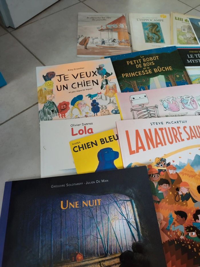 Lot 16 livres histoires albums jeunesse - photo numéro 2