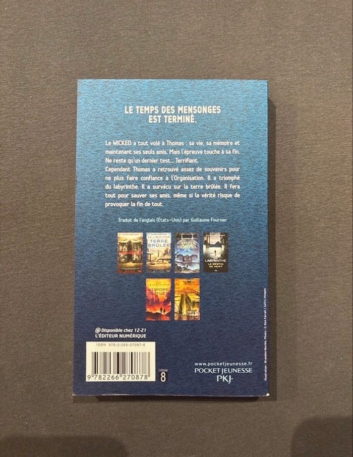 Livres  Le  Labyrinthe - photo numéro 7