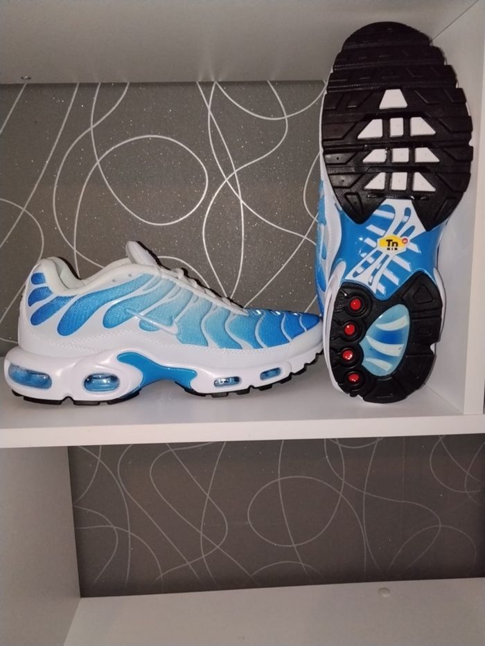 TN bleu - photo numéro 3