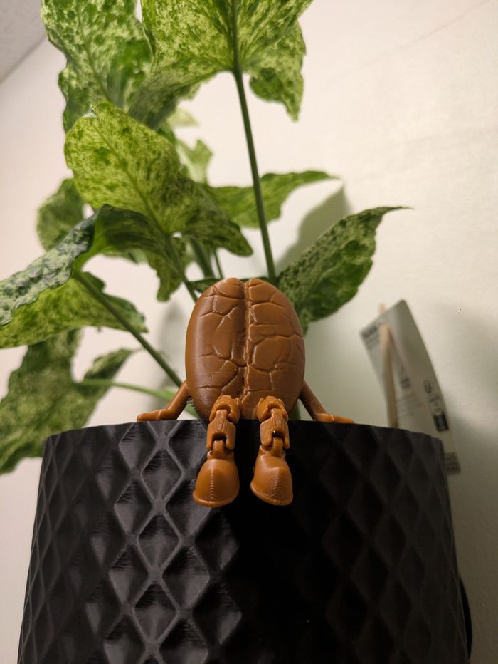 Décoration grain de café - photo numéro 2