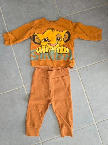 Ensemble roi lion