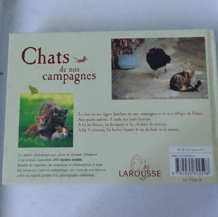 Chats de nos campagnes - photo numéro 2