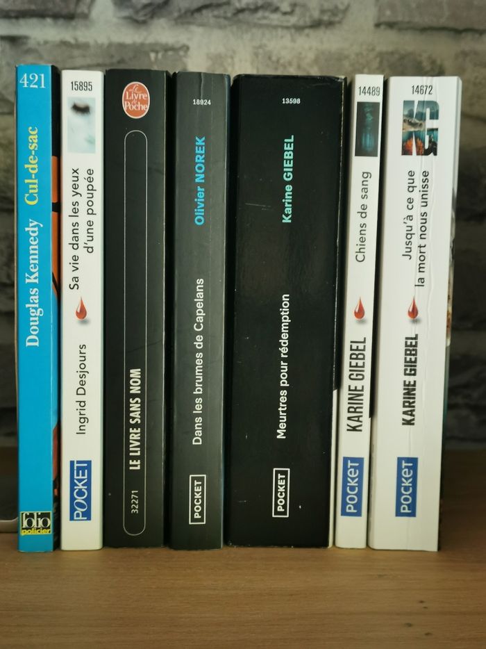 7 Thrillers dont 3 de Karine Giebel - photo numéro 4