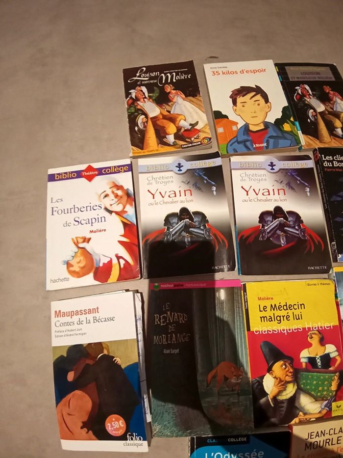 divers livres collège - photo numéro 4