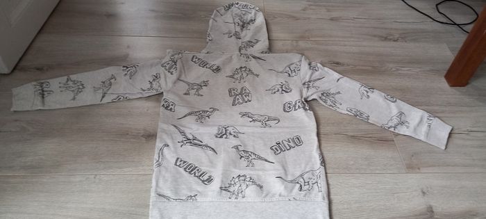 Pull dinosaures gemo 10 ans - photo numéro 3