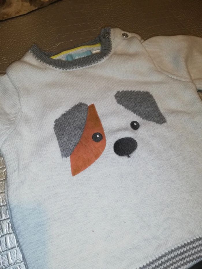 Tee shirt et pull chien - photo numéro 3