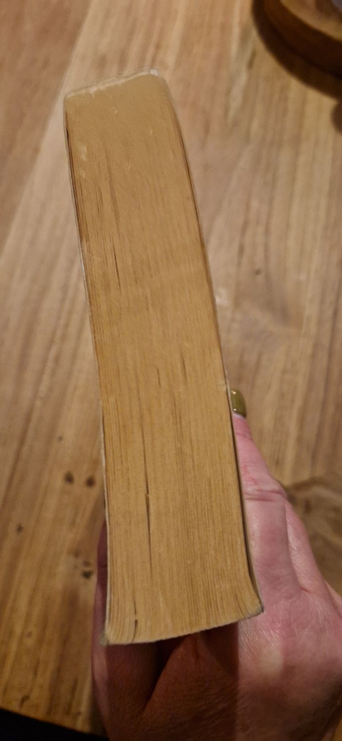 Roman policier thriller "quand je serais grande " - photo numéro 4