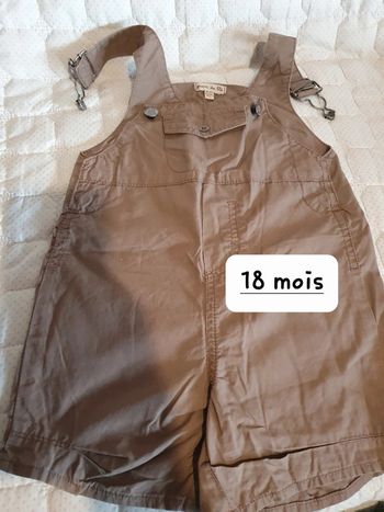 Salopette grain de blé