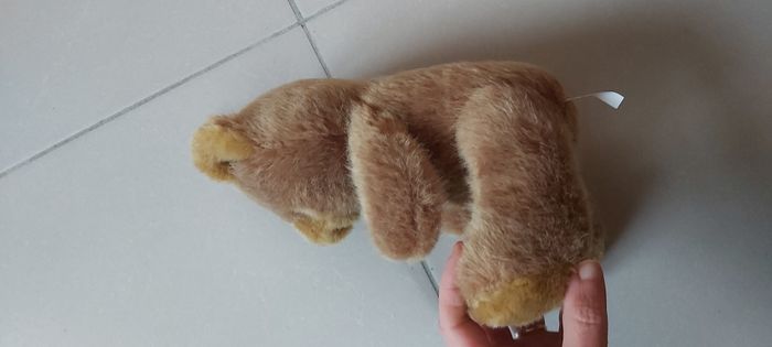 Ourson - photo numéro 2