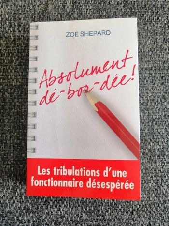 Livre Absolument débordée de Zoé Shepard en très bon état