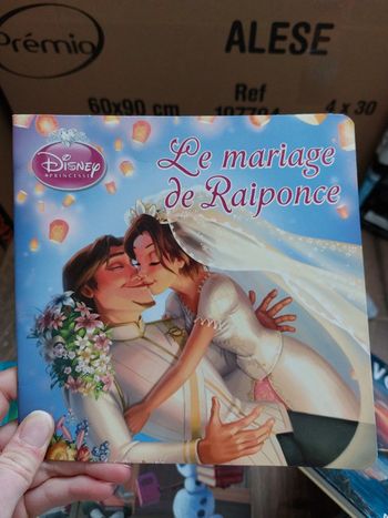 Lot de livres disney