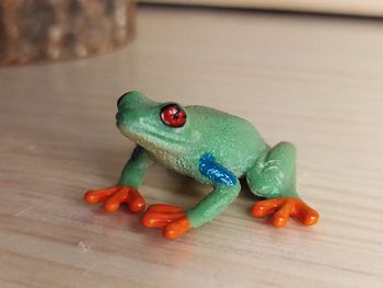 Figurine grenouille venimeuse Animal équatorial