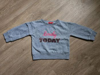 Pull gris