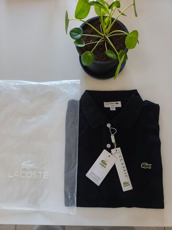 Polos Lacoste slim fit 