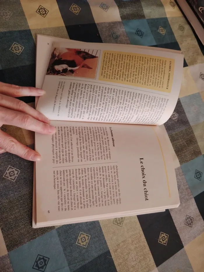 Livre sur le boxer - photo numéro 8