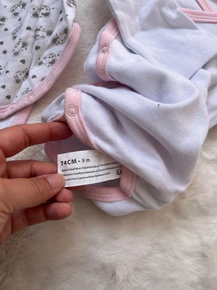 2 Bodie croisés 9 mois - photo numéro 4