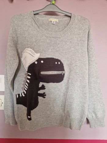 Pull garçon 👦 motif dinausore