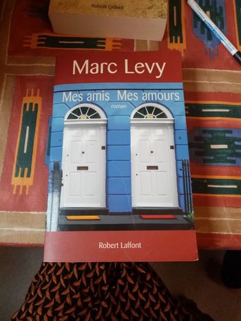 Marc levy mes amis mes amours