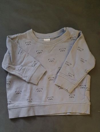 Sweat Gris Lion 12 Mois