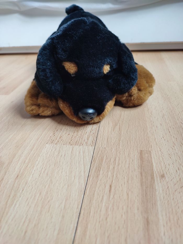 Peluche chien